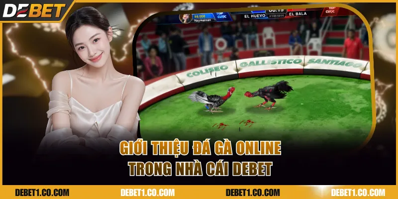 Giới thiệu Đá Gà online trong nhà cái DEBET